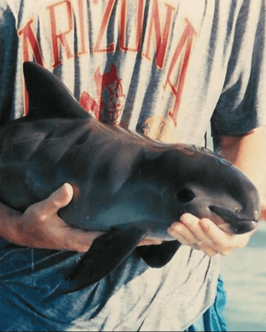 10 Endangered Animals You’ve Probably Never Heard Of - Fauna & Co