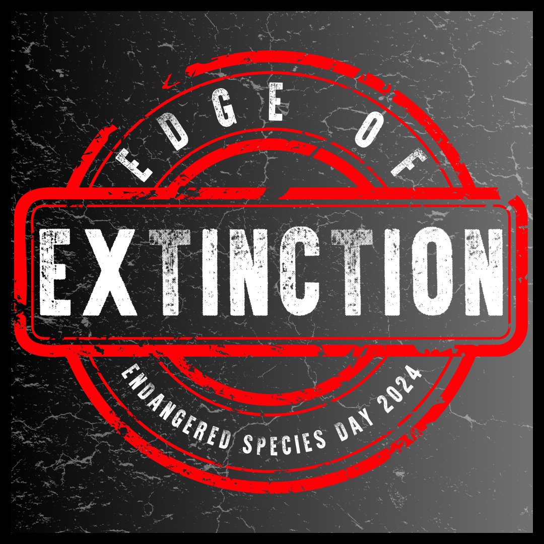 Edge of Extinction - Fauna & Co