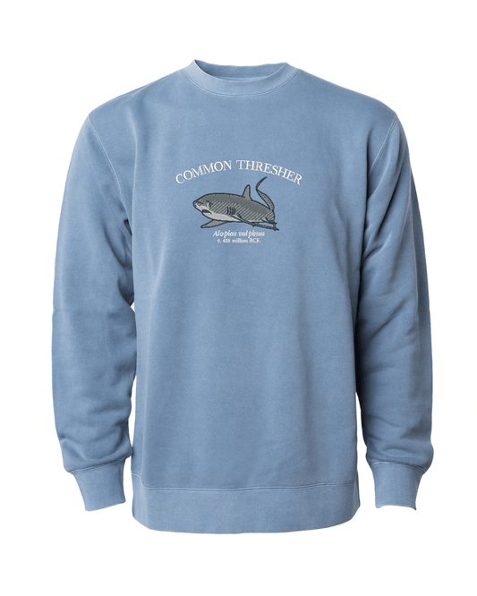 (PREORDER) Common Thresher Shark Sweatshirt - Fauna & Co