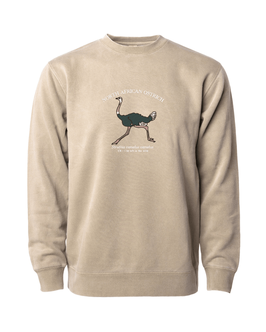 (PREORDER) North African Ostrich Sweatshirt - Fauna & Co