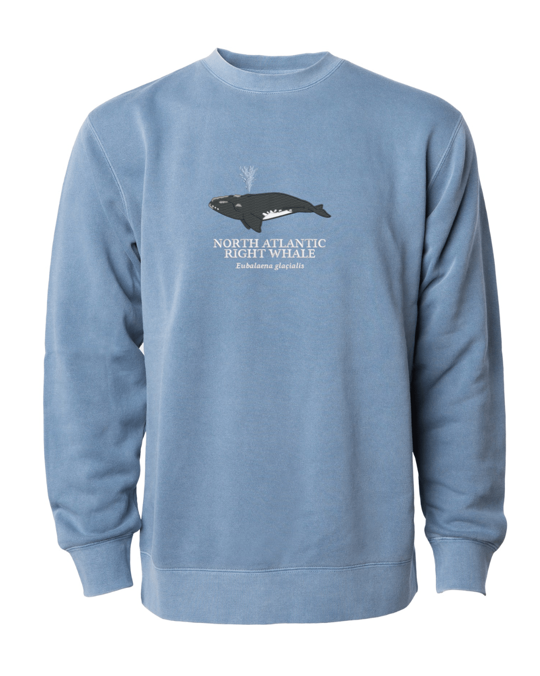 (PREORDER) North Atlantic Right Whale Sweatshirt - Fauna & Co