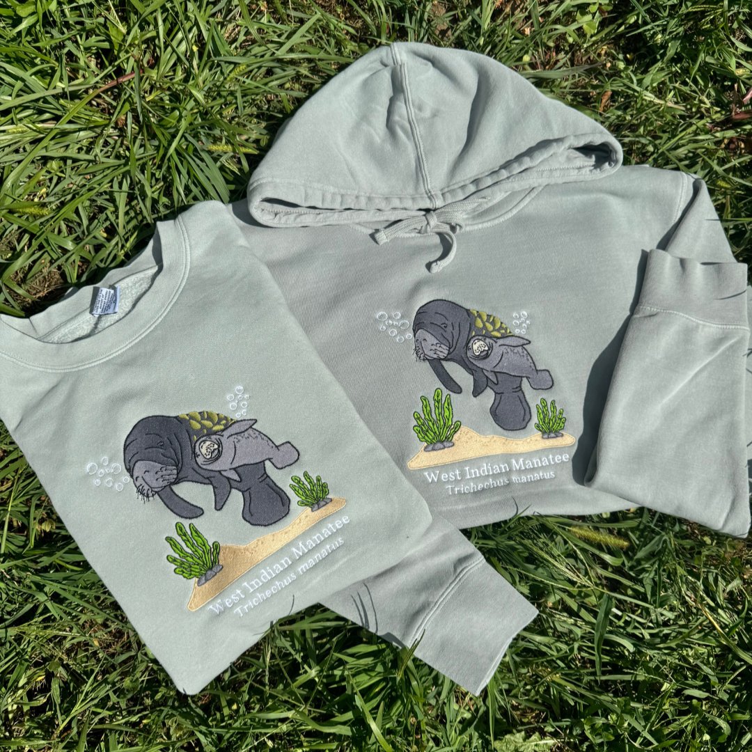 (PREORDER) West Indian Manatee - Fauna & Co