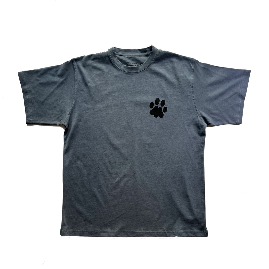 Canada Lynx - Fauna & Co