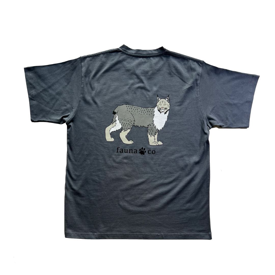 Canada Lynx - Fauna & Co