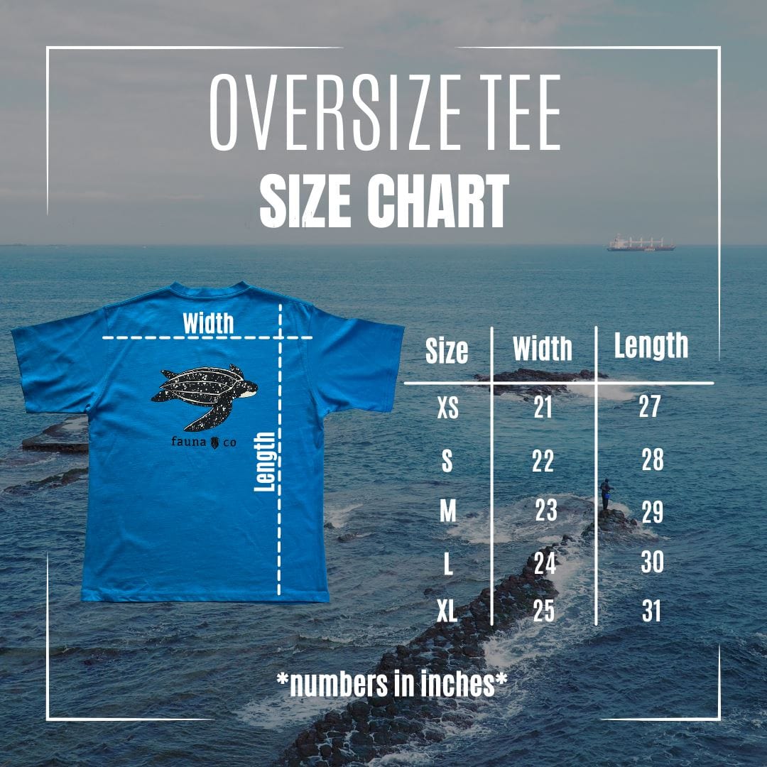 Great White Shark - Fauna & Co