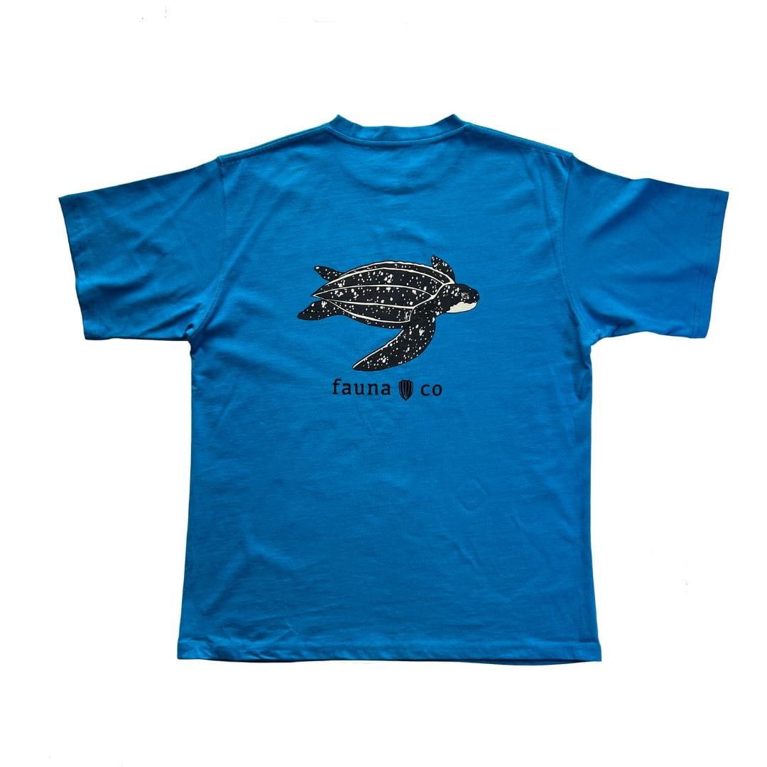 Leatherback Sea Turtle - Fauna & Co